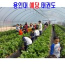 용인대 예당 태권도장 이미지