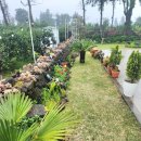 모들737하효 이미지