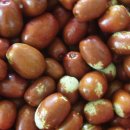 장구농장 이미지