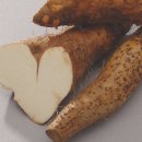 천마 Daum카페
