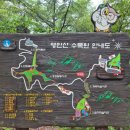 충청남도 산림박물관 | 아산 여행 가볼만한 곳 영인산 수목원 영인산산림박물관 내돈내산 솔직후기