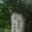 은하수야영캠핑장 이미지