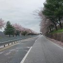 영서로4 이미지