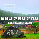 제주 불탑사 오층석탑 | 제주 사찰 절 부처님오신날 가볼만한곳 문강사 불탑사 원당사 BEST 3