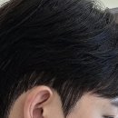 댕댕이 머리하는 날 | 제 머리에 마법이 내려왔어요! 일산미용실 방문 후기