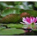 괘릉초등학교 이미지