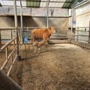 천안축산업협동조합배합사료공장 이미지