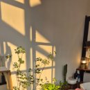 헤어살롱1021 이미지