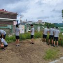 행복한 꿈을 꾸는  이미지