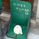 123-1-000007 | 경찰병원 가락시장 근처 조용한 카페 추천, 커피 맛집 카페 칠린 후기(애견 동반 가능)