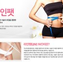 라인앤 이미지
