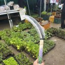 이든농장 이미지