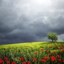 예인 골프존 이미지