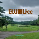더시에나CC | 더시에나CC 라운드 후기｜제주 감성 가득했던 프리미엄 골프장 솔직 리뷰