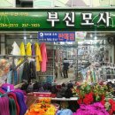 부신모사 이미지
