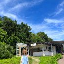 홍봉투어 | TAIWAN 2. 8월 대만 버스투어 홍봉투어 내돈내산 후기 - 예류지질공원 예류해양공원