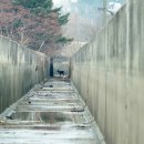 생츄어리 - 동구 팔공로33길 3 | 생츄어리