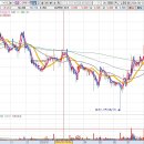 리드팜(주) 이미지