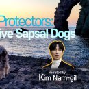 Dokdo Protectors: Korea's Native Sapsal Dogs 이미지