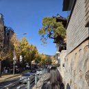 신이당한의원 | 임신준비5) 남편이랑 한약 한달치 먹기, 신점후기, 우울증의심 (한의원/건강검진 결과) +북촌나들이