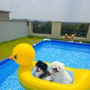 고목로1 이미지