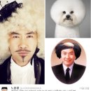 개랑나랑 이미지