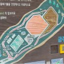 에코랜드수영장 축구장 이미지