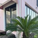 머문공간 | 내돈내산 제주 동쪽 머문공간게스트하우스 숙박 후기