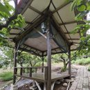 감나무집 불한증막 이미지