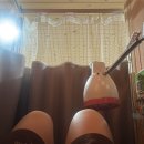 기적한의원 이미지