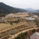 플로라룸