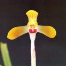 (주)금화 이미지