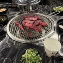 여정식당 | [맛집 추천] 경주 강아지 동반 식당 "여정1998" 고깃집 내돈내산 솔직후기