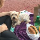 한주실업빌딩 | [6월 네 번째 이야기] 진주 샌드위치 달리는커피, 진주 정직 유부초밥, 진주 시내 맛집 닭 꼬치피다...