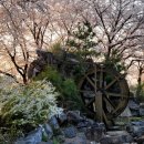 보청천 옥천-13 이미지