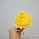 에이치블랑(H.BLANC) 이미지