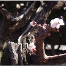 김해건설공업고등학교 이미지