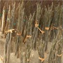 김현규농장 이미지