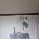 사하구-35 이미지