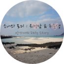 해성농수산 | [제주맛집] 제주도 동문시장 구경 후 "고객식당" 에서 갈치조림 먹었어용 :)