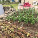 제재텐스빌 이미지