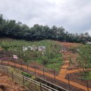 행복농장 5 이미지