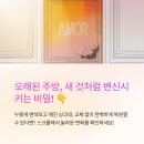 완벽복원 - 시흥시 옥구공원로 189 | 완벽복원