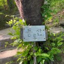 사나사(초입) 네이버블로그