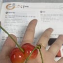 두림농장 이미지