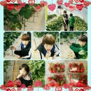 태자농장 이미지