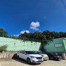 써니터틀 | 파주 비바리움터틀파크, 파주 아이와 함께, 파주 실내 동물원 추천, 파주 키즈카페