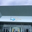 [아이와 제주 여행]아쿠아플라넷 제주 내돈내산 방문후기(할인 꿀팁&amp;소요시간&amp;유모차•휠체어 대여)