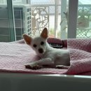 지에스(GS25) 함양나이스점 이미지