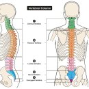 스마트짐 PT&필라테스 이미지